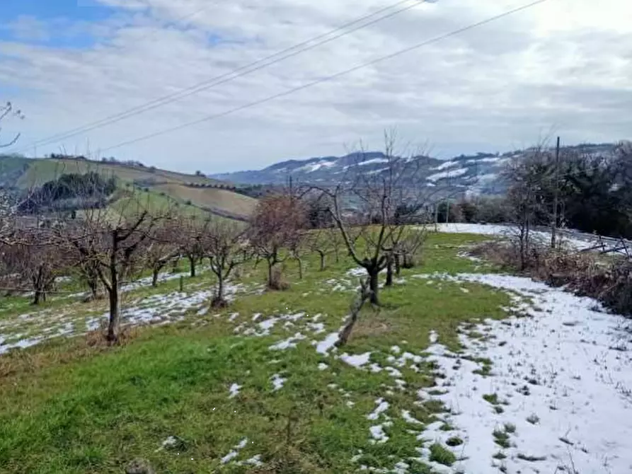 Immagine 25 di Casa indipendente in vendita  in Contrada Sant'Antonio  a Petritoli