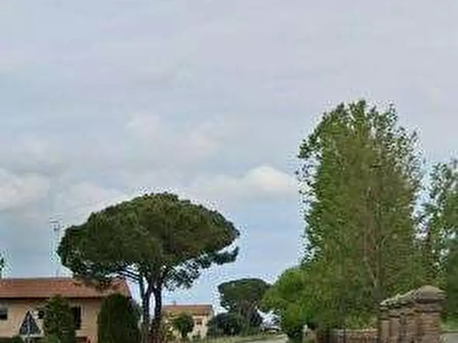 Immagine 4 di Magazzino in vendita  in Via Zuccherificio a Ravenna