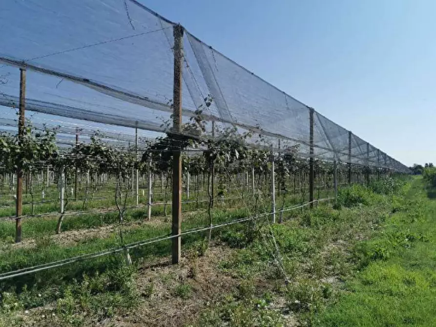 Immagine 4 di Appartamento in vendita  in Via Canala  a Ravenna