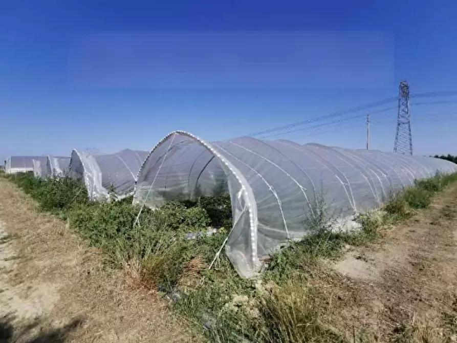 Immagine 6 di Appartamento in vendita  in Via Canala  a Ravenna