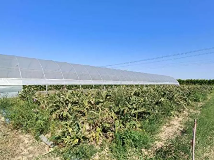 Immagine 7 di Appartamento in vendita  in Via Canala  a Ravenna