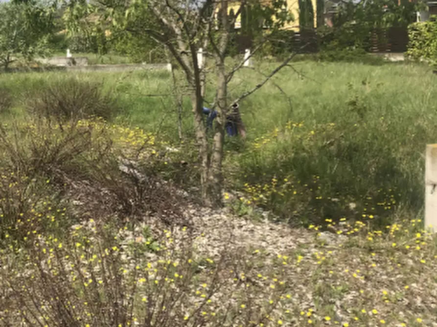 Immagine 2 di Terreno edificabile in vendita  in Strada della Fonderia a Fidenza
