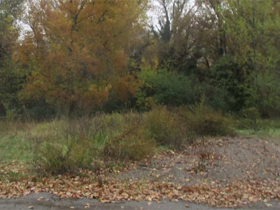Immagine 2 di Capannone industriale in vendita  in Via Langhirano a Langhirano