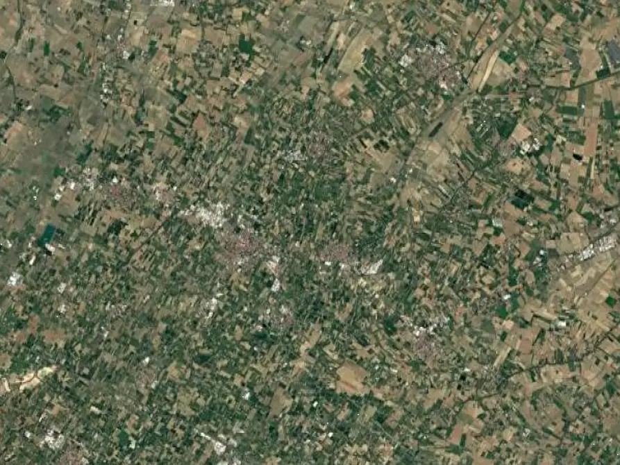 Immagine 4 di Appartamento in vendita  in Via Italo Cristofori  a Bagnacavallo