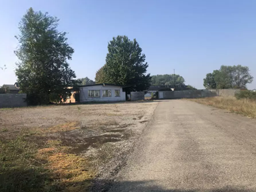 Immagine 1 di Capannone industriale in vendita  in Strada Argine Filippina a Sissa