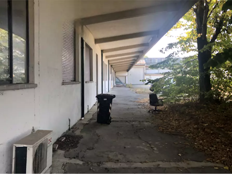 Immagine 2 di Capannone industriale in vendita  in Strada Argine Filippina a Sissa