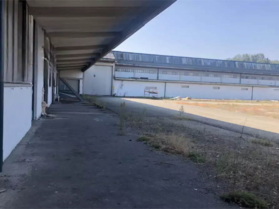 Immagine 3 di Capannone industriale in vendita  in Strada Argine Filippina a Sissa