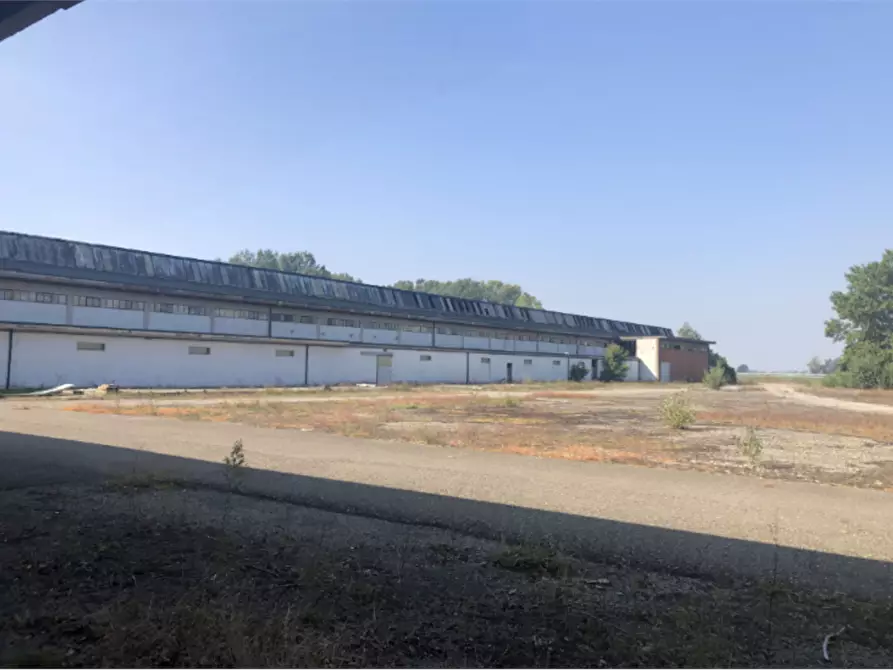 Immagine 4 di Capannone industriale in vendita  in Strada Argine Filippina a Sissa