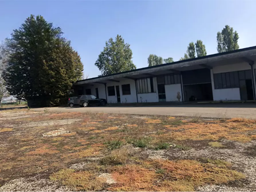 Immagine 5 di Capannone industriale in vendita  in Strada Argine Filippina a Sissa