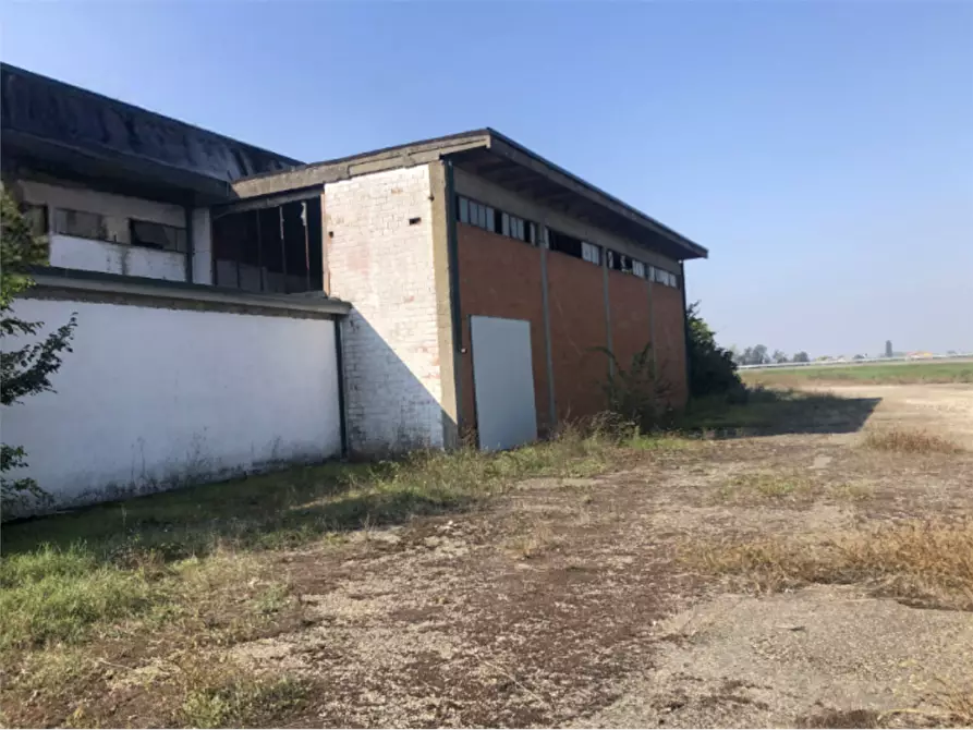 Immagine 6 di Capannone industriale in vendita  in Strada Argine Filippina a Sissa