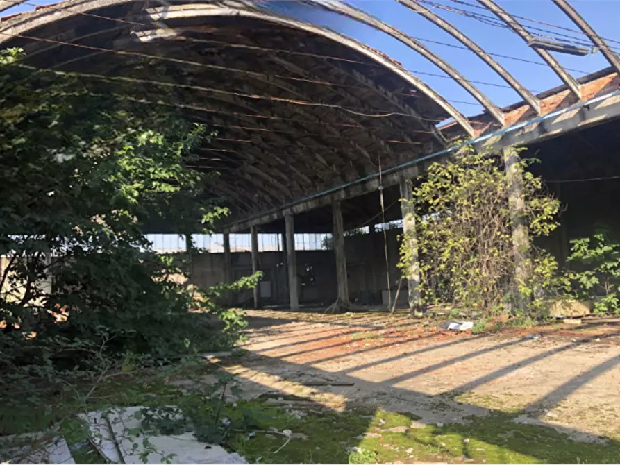 Immagine 7 di Capannone industriale in vendita  in Strada Argine Filippina a Sissa