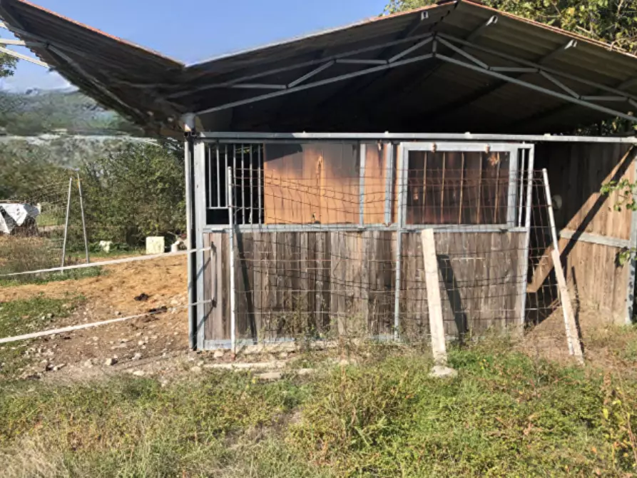 Immagine 8 di Capannone industriale in vendita  in Strada Argine Filippina a Sissa