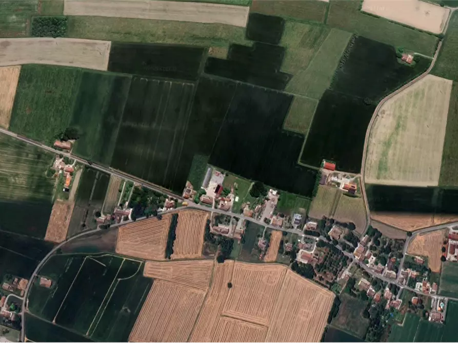 Immagine 11 di Capannone industriale in vendita  in Strada Argine Filippina a Sissa