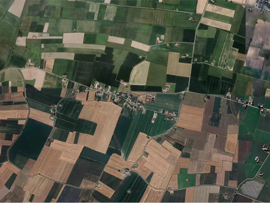 Immagine 12 di Capannone industriale in vendita  in Strada Argine Filippina a Sissa