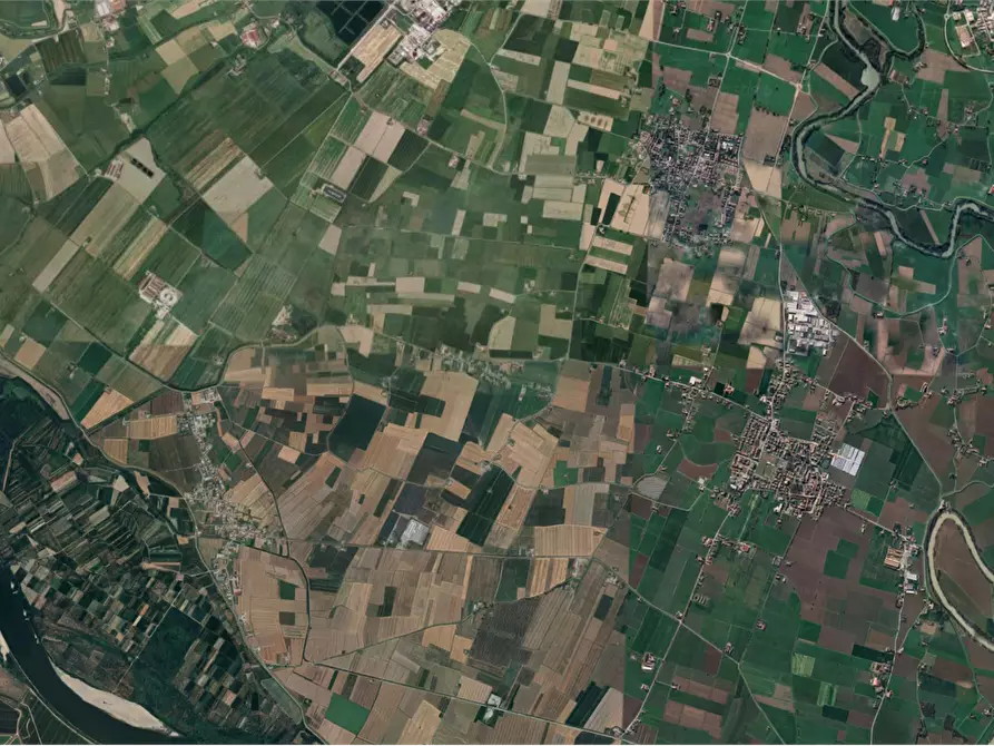 Immagine 13 di Capannone industriale in vendita  in Strada Argine Filippina a Sissa