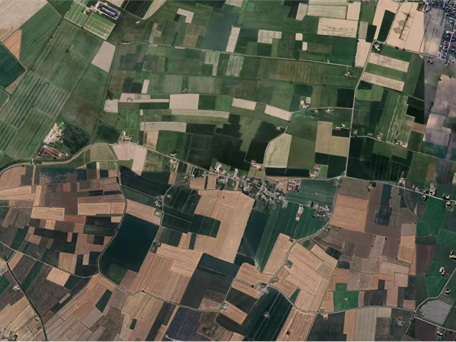 Immagine 14 di Capannone industriale in vendita  in Strada Argine Filippina a Sissa