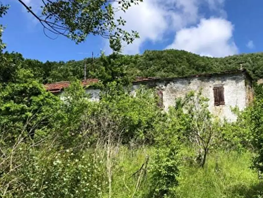 Immagine 1 di Casa indipendente in vendita  in Loc. Poggio di Sotto a Valmozzola