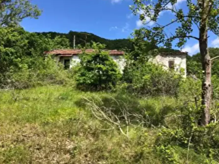 Immagine 3 di Casa indipendente in vendita  in Loc. Poggio di Sotto a Valmozzola