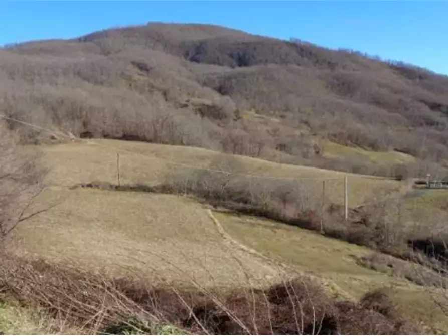 Immagine 3 di Casa indipendente in vendita  in Località Costa dei Gazzi di Grezzo a Bardi