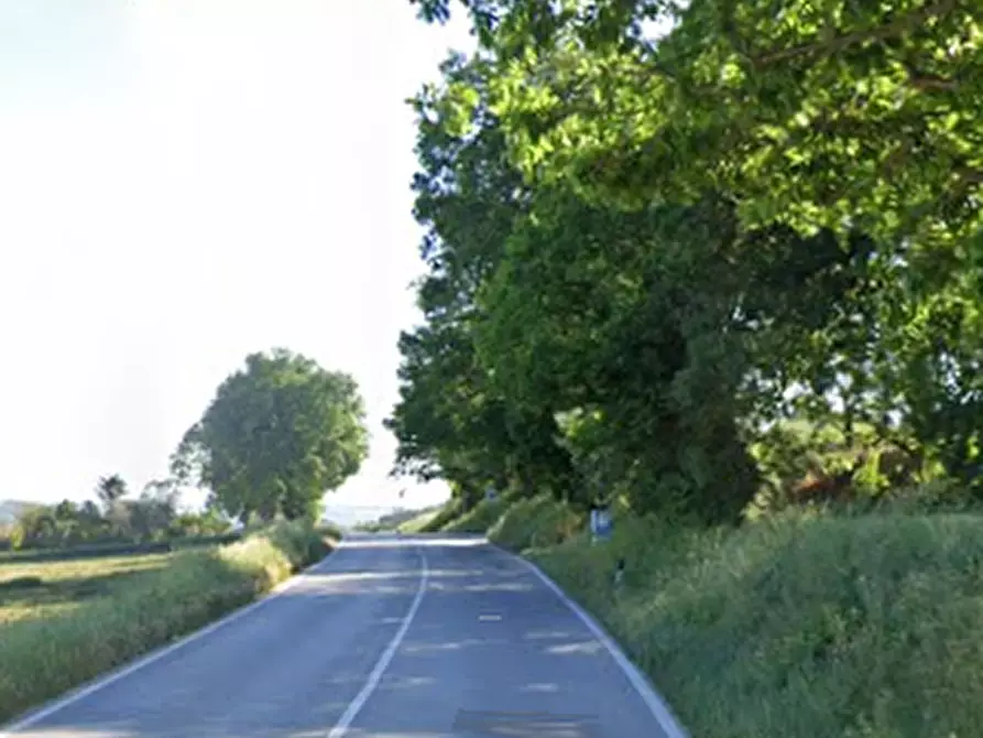 Immagine 6 di Laboratorio in vendita  in Strada Mostrapiedi a Sant'elpidio A Mare