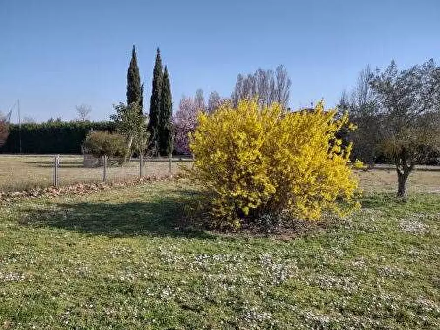 Immagine 6 di Casa bifamiliare in vendita  in via Michelona a Cesena