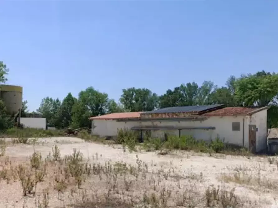 Immagine 3 di Capannone industriale in vendita  in Via Molino a Grottazzolina
