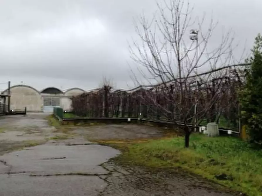 Immagine 7 di Capannone industriale in vendita  in Via Doccia a Vignola