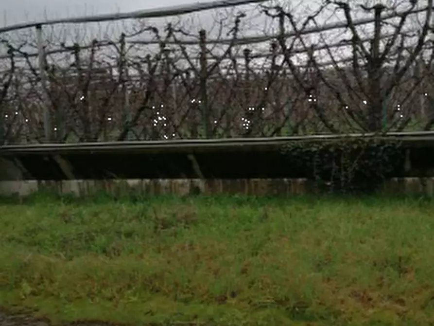 Immagine 8 di Capannone industriale in vendita  in Via Doccia a Vignola