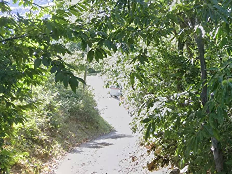 Immagine 14 di Casa indipendente in vendita  in Località Case Bosini a Albareto