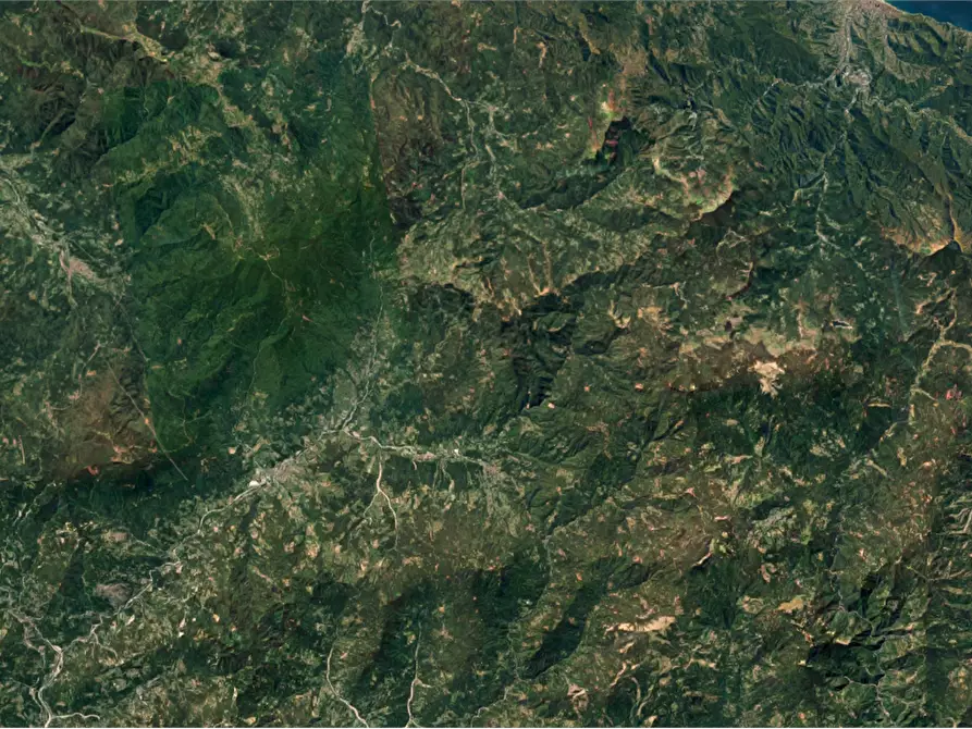 Immagine 22 di Casa indipendente in vendita  in Località Case Bosini a Albareto