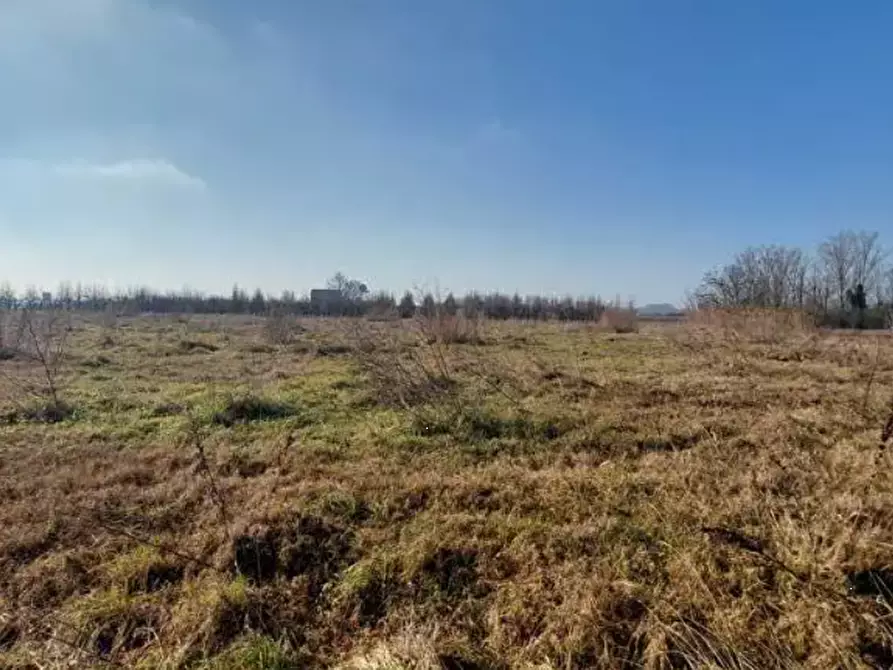 Immagine 5 di Rustico / casale in vendita  in Via G. Matteotti a San Possidonio