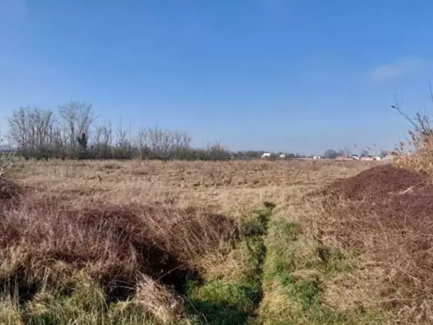 Immagine 6 di Rustico / casale in vendita  in Via G. Matteotti a San Possidonio