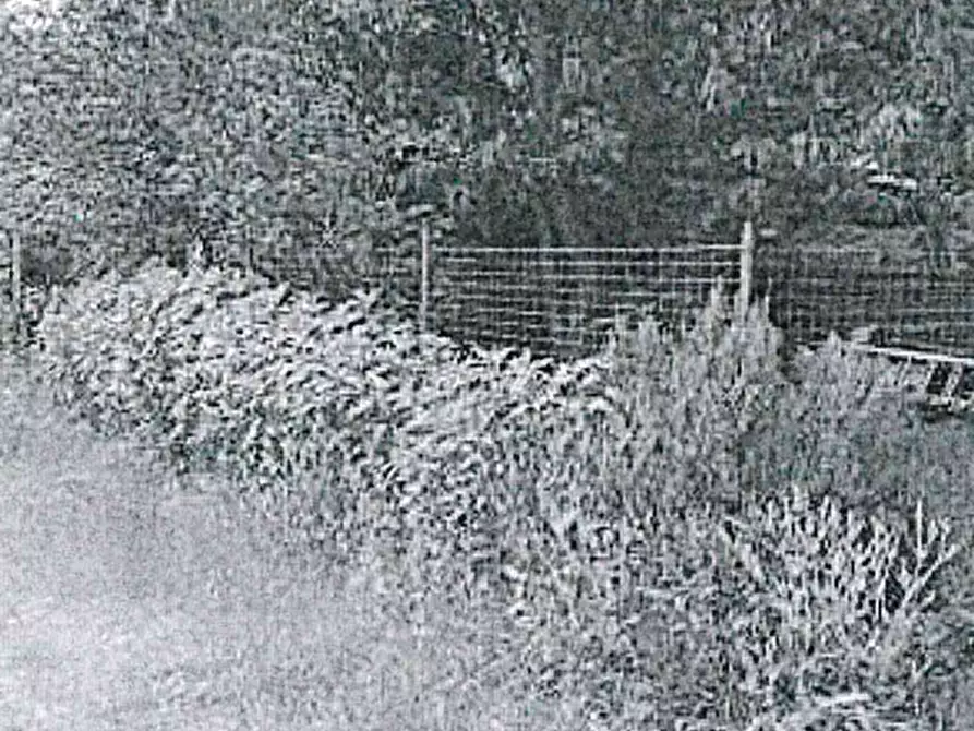 Immagine 2 di Garage in vendita  in Via Stradavecchia a Bastida Pancarana