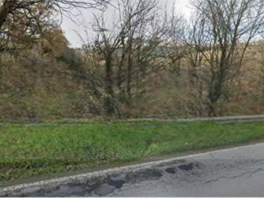 Immagine 2 di Terreno agricolo in vendita  in Contrada Calderette di Fermo a Fermo