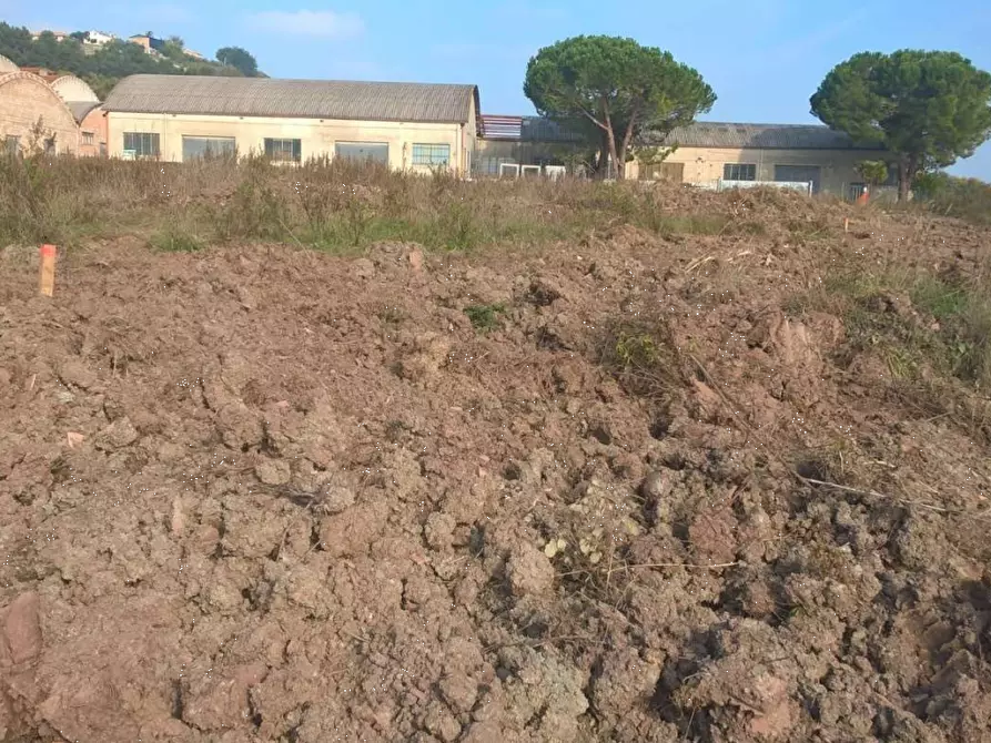 Immagine 2 di Terreno agricolo in vendita  in Contrada Calderette di Fermo a Fermo