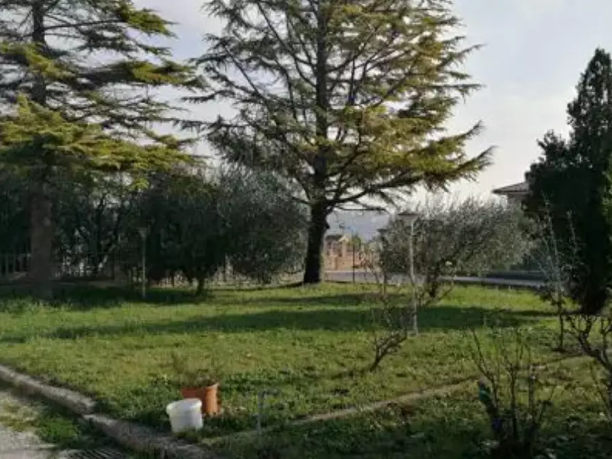 Immagine 1 di Terreno agricolo in vendita  in Località Piane di Montegiorgio a Montegiorgio