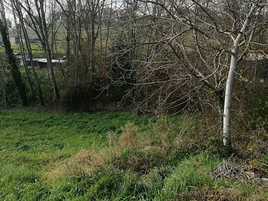 Immagine 2 di Terreno agricolo in vendita  in Località Piane di Montegiorgio a Montegiorgio