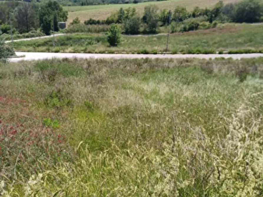 Immagine 2 di Terreno edificabile in vendita  in Località Montegranaro a Montegranaro
