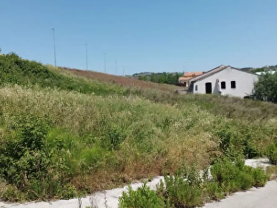 Immagine 3 di Terreno edificabile in vendita  in Località Montegranaro a Montegranaro