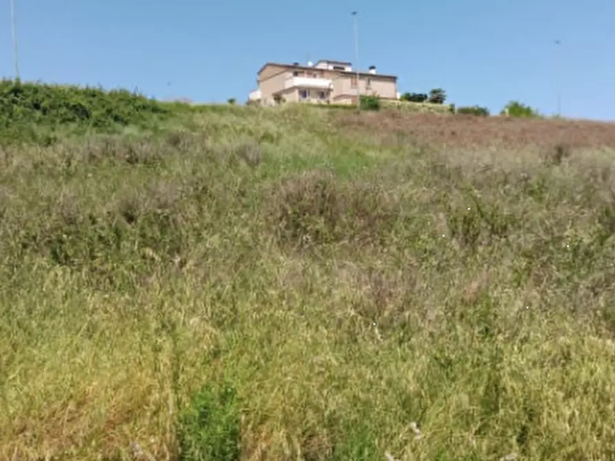 Immagine 4 di Terreno edificabile in vendita  in Località Montegranaro a Montegranaro