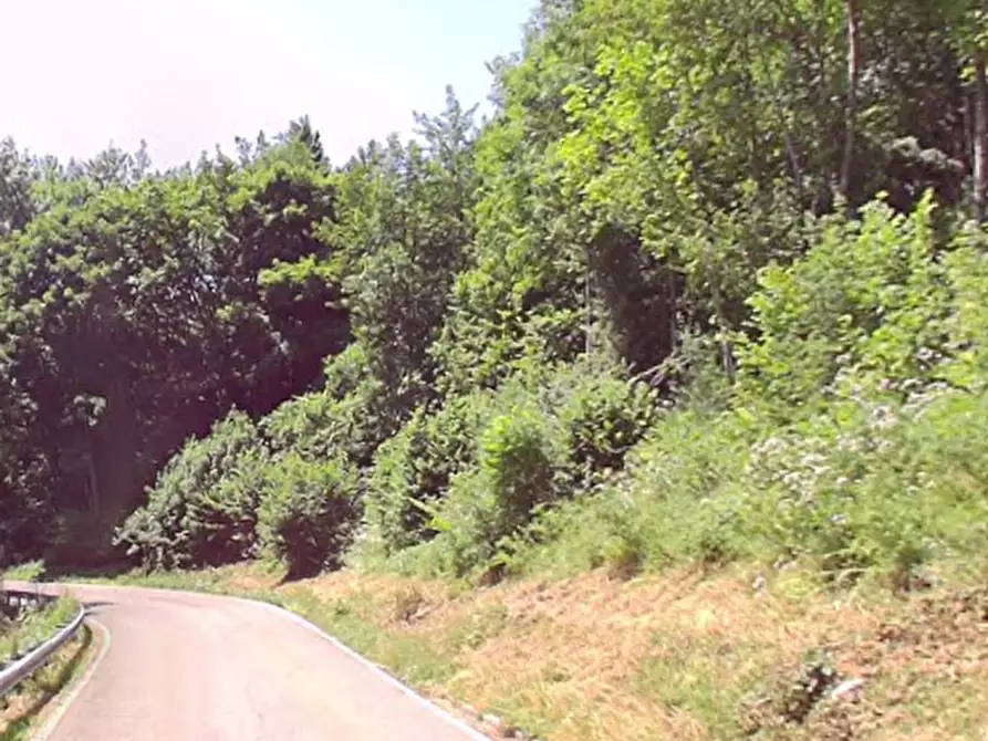 Immagine 10 di Appartamento in vendita  in Via Osteria a Pievepelago