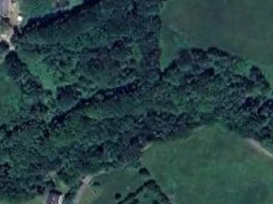 Immagine 13 di Appartamento in vendita  in Via Osteria a Pievepelago