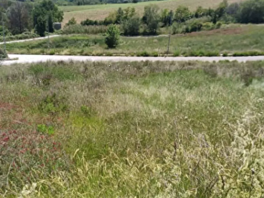 Immagine 2 di Terreno edificabile in vendita  in Località Montegranaro a Montegranaro