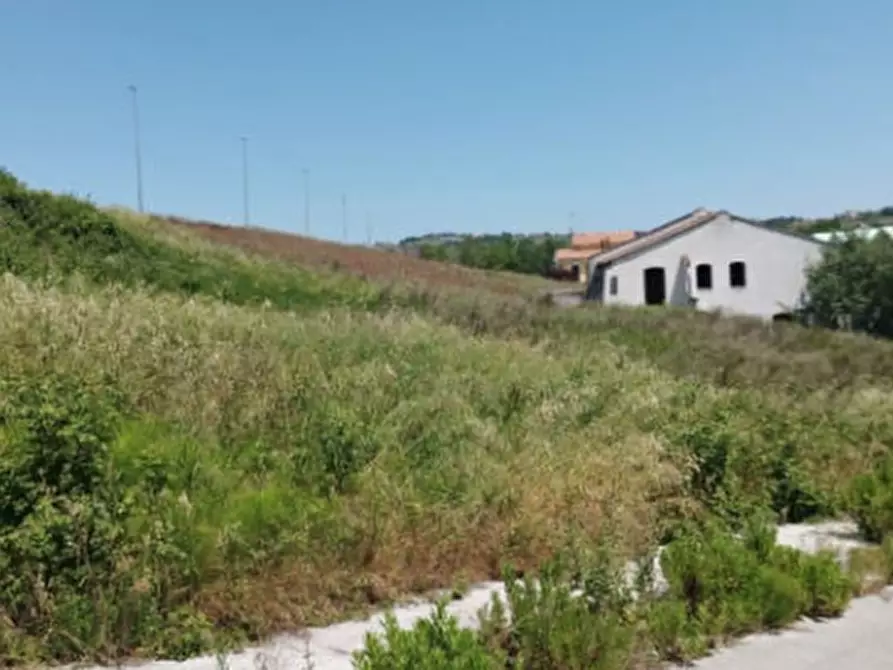 Immagine 3 di Terreno edificabile in vendita  in Località Montegranaro a Montegranaro
