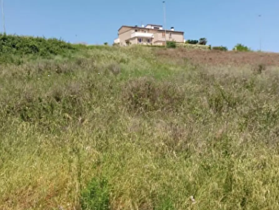 Immagine 4 di Terreno edificabile in vendita  in Località Montegranaro a Montegranaro