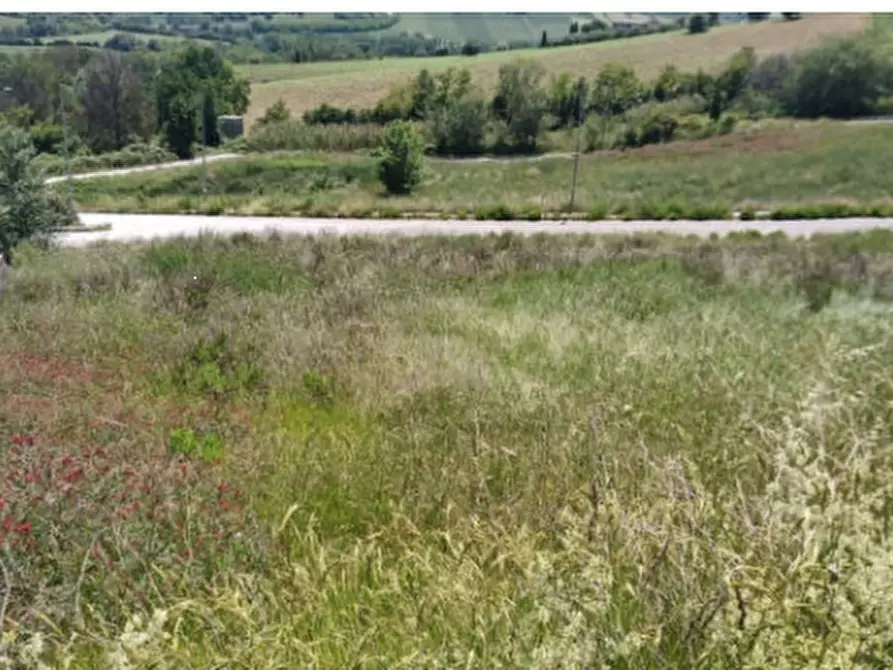 Immagine 2 di Terreno edificabile in vendita  in Località Montegranaro a Montegranaro