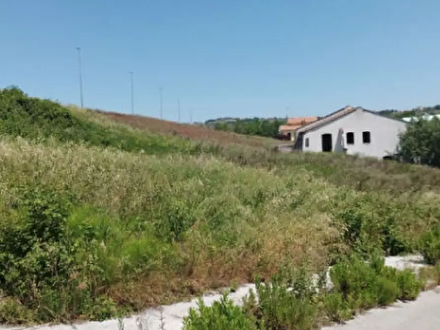 Immagine 3 di Terreno edificabile in vendita  in Località Montegranaro a Montegranaro