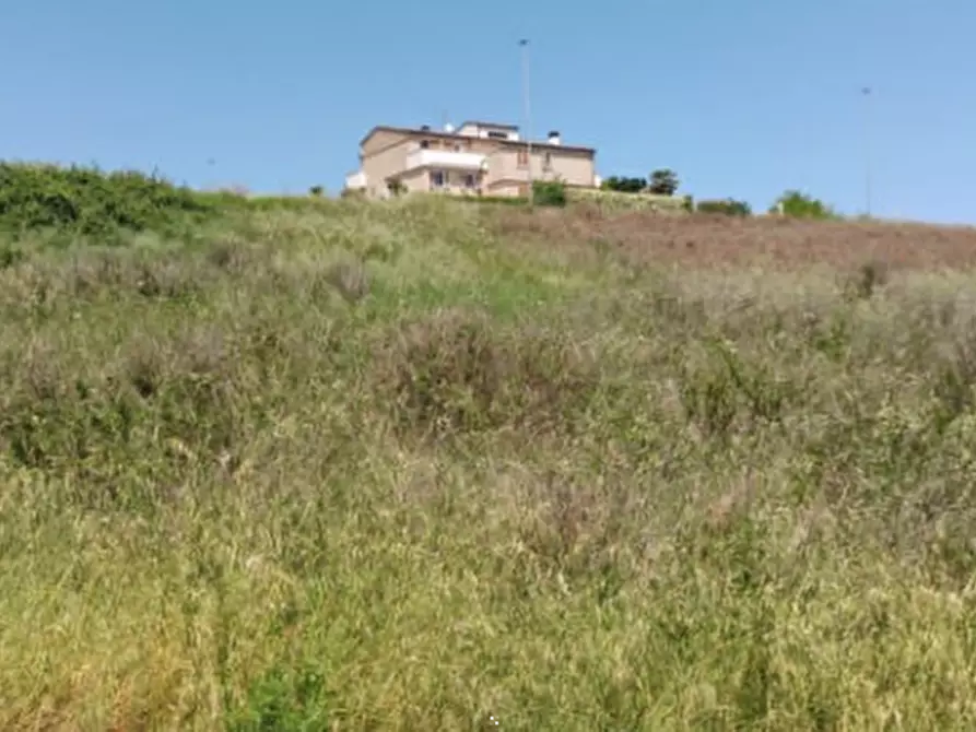 Immagine 4 di Terreno edificabile in vendita  in Località Montegranaro a Montegranaro