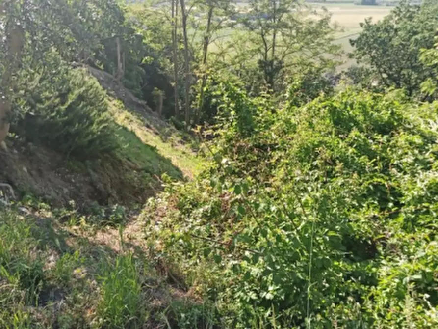 Immagine 1 di Terreno edificabile in vendita  in Località Sant'Elpidio a Mare a Sant'elpidio A Mare