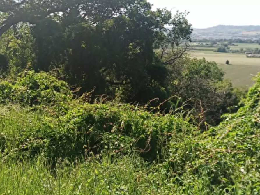 Immagine 2 di Terreno edificabile in vendita  in Località Sant'Elpidio a Mare a Sant'elpidio A Mare